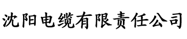 四虎电影网在线观看电缆厂logo